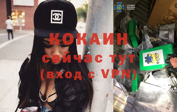 дживик Баксан
