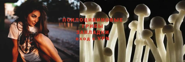 тгк Беломорск