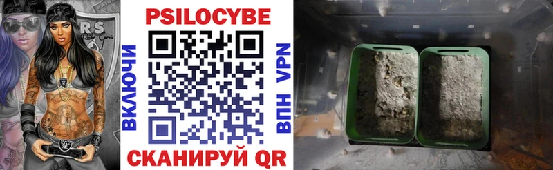 Псилоцибиновые грибы Psilocybe  Кизел 
